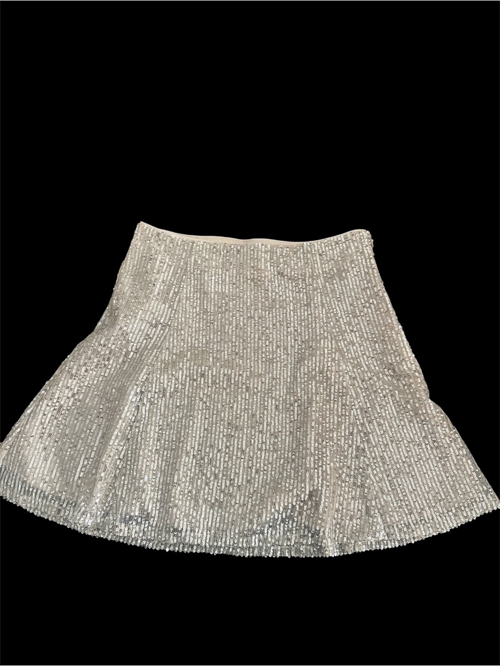LOFT Silver Sequin Skater Skirt
